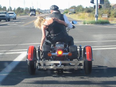 Harley-Davidson Sportster Custom 1200, 2006